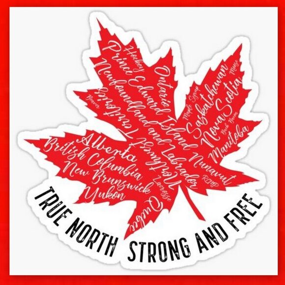 Remarkable 1950 Canada Uncirculated Silver $1 Dollar Coin! - Picture 13 of 15